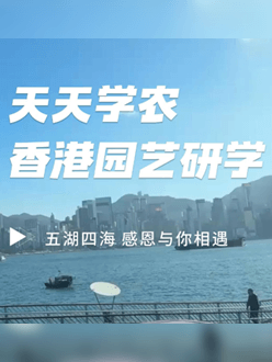 与香港园艺学会联合举办香港园艺研学，专业园境师带队讲解。