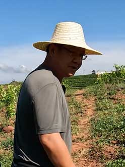 农业人叶涛，50多岁通讯人跨界搞农业，他要用1000万打造一个梦。