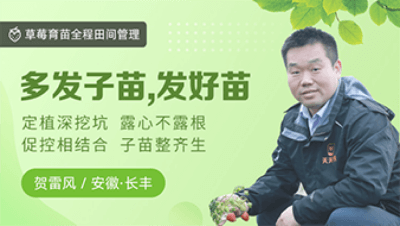 多发子苗，发好苗